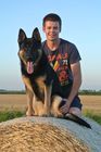 Cedric Verstraete