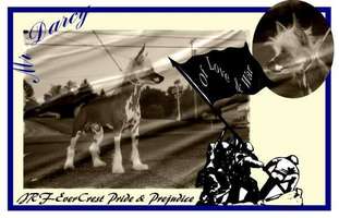 Evercrest-jrf Pride & Prejudice Evercrest-jrf Pride & Prejudice