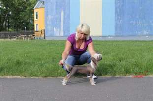 Melanies Rerity Katarinka Melanies Rerity Katarinka