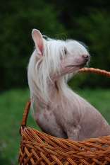Ilory Keen On You Ilory Keen On You