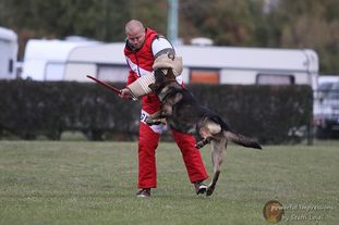 Uno von der Wolfskralle Uno von der Wolfskralle