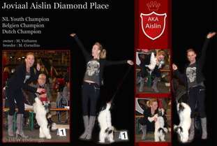 Joviaal Aislin Diamond Place Joviaal Aislin Diamond Place