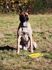 Malinoid Cloppe