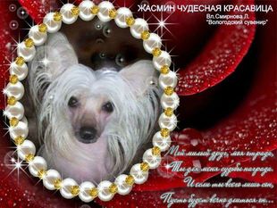 Zhasmin Chudesnaya Krasavitsa Zhasmin Chudesnaya Krasavitsa