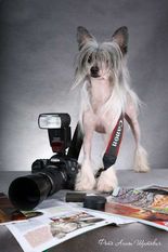 Paparazzo Loves Me Epocha Paparazzo Loves Me Epocha