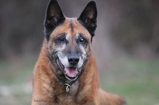 Gino von den kleinen Helden Gino von den kleinen Helden
