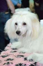 My Lucky Love Iliodor My Lucky Love Iliodor