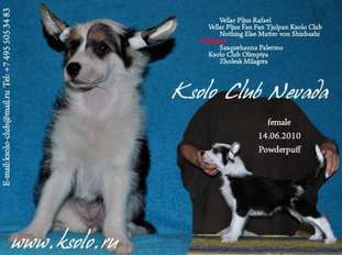 Ksolo Club Nevada Ksolo Club Nevada