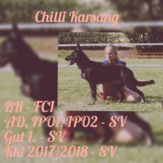 Chilli Karsang Chilli Karsang