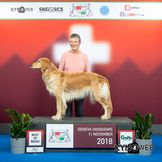 9.-11.11.2018 Genf: 3x v1, 3x CAC, 3x CACIB, 1x BOB, 1x BOS, Schweizer Ausstellungs-Champion