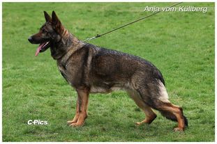 Anja vom Küllberg Anja vom Küllberg