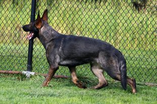Ackyra von Wendelin Ackyra von Wendelin