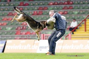 Vlop vom Wolfsgraben Vlop vom Wolfsgraben