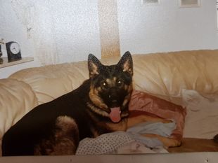 Emma vom Teufelsgrund Emma vom Teufelsgrund