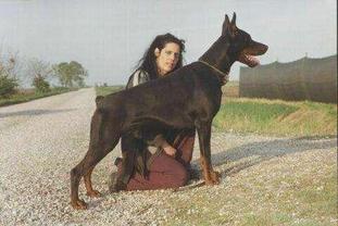 Bond Bold von Neblig Feld Bond Bold von Neblig Feld