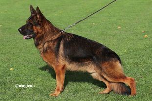 Fritz von Oasis Fritz von Oasis