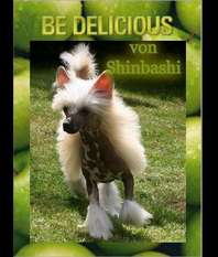 Be Delicious Von Shinbashi Be Delicious Von Shinbashi