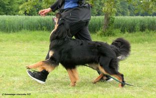 Vita von der Jagsthöhe Vita von der Jagsthöhe