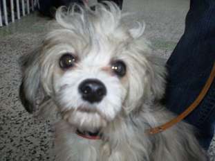 Aiko Fuzzy Luck Aiko Fuzzy Luck
