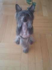 Ussi Z Nory Susla Ussi Z Nory Susla
