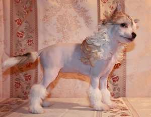 Baby Doll De Sothis Baby Doll De Sothis
