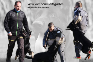 Vero vom Schmiedegarten Vero vom Schmiedegarten