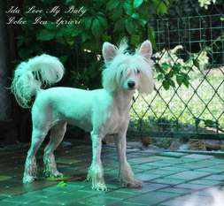 Ida Love My Baby Dolce Dea Apriori Ida Love My Baby Dolce Dea Apriori
