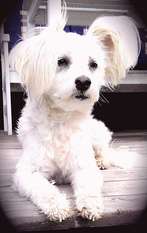 King Kairo King Kairo
