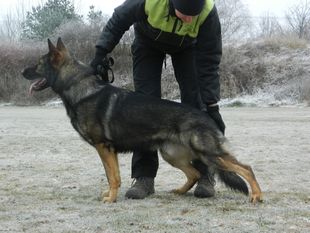 V-Kaso z Noveho Draka V-Kaso z Noveho Draka