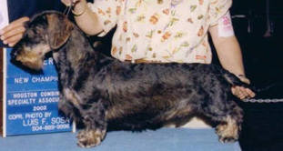 Char-Dachs Too Legit To Quit Char-Dachs Too Legit To Quit