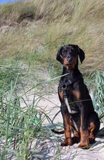 Emilia vom Hexenzauber Emilia vom Hexenzauber