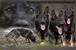 Batida de Coco vom Hause Röhrdanz Batida de Coco vom Hause Röhrdanz