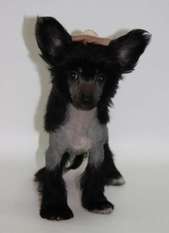 Luksorius Luks Black Luksorius Luks Black
