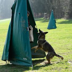 Gina vom Kandersturm Gina vom Kandersturm