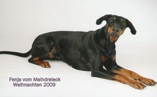 Fenja vom Maindreieck Fenja vom Maindreieck
