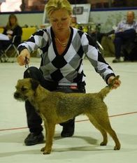 Hux Flux Iris Iskristall Hux Flux Iris Iskristall