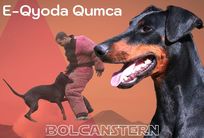 E-Qyoda Qumca von Bolcanstern