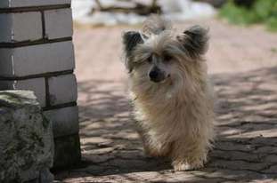 Orero Lovely Yangon Orero Lovely Yangon