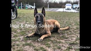 Amos (Argo) Amos (Argo)