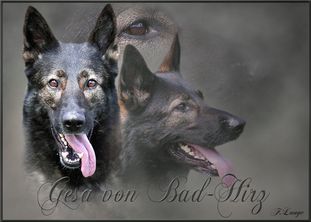 Gesa von Bad Hirz Gesa von Bad Hirz