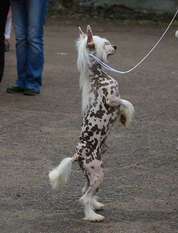 Sspoloch Show Rely On Me Sspoloch Show Rely On Me