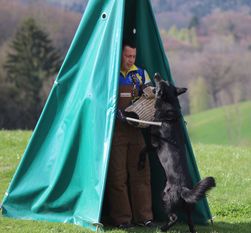 Bulwei Drachenjäger Bulwei Drachenjäger