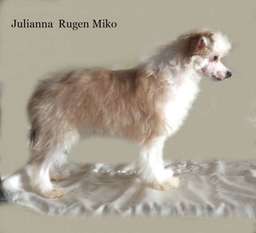 Rugen Miko Julianna Rugen Miko Julianna