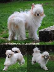 Freeman Little Sweetie Freeman Little Sweetie