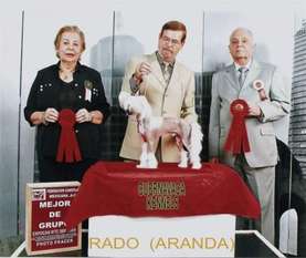 Rado Aranda Rado Aranda