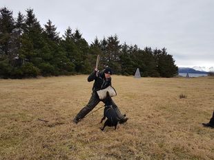 Diva European K9 training base Diva European K9 training base