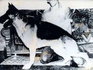 Visko von der Urbecke Visko von der Urbecke