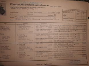Klea von der Schönburg Klea von der Schönburg