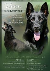 Union Black Chabet Union Black Chabet