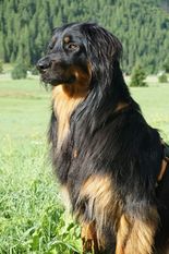 Arcanus of Secret Amber Arcanus of Secret Amber
